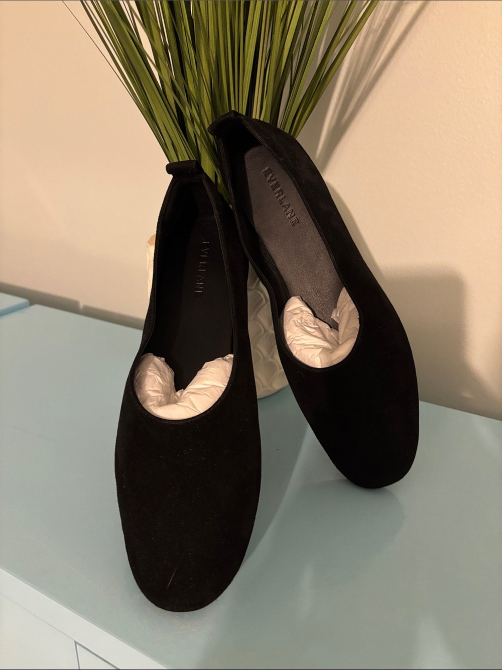 Everlane Black Suede Ballet Flats